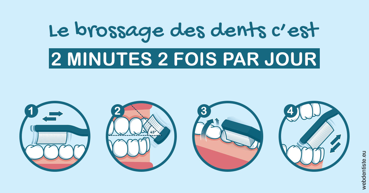 https://www.dr-feraud-pedodontiste.fr/Les techniques de brossage des dents 1