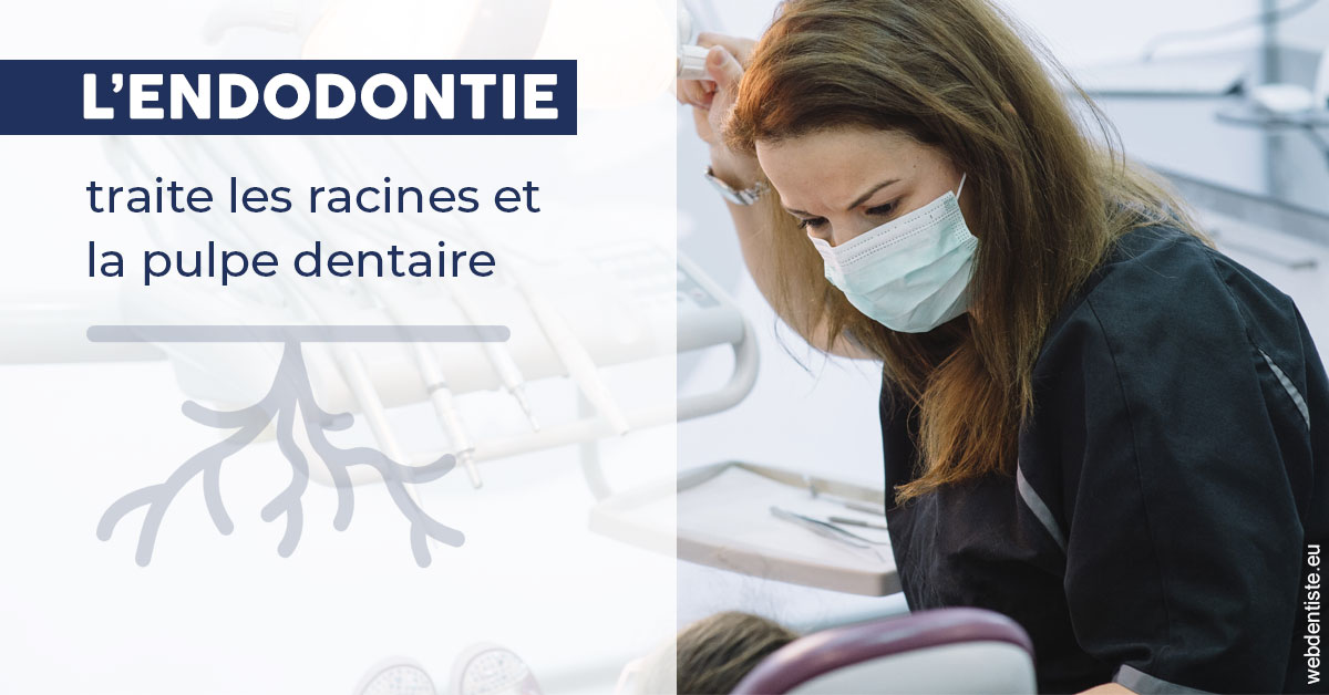 https://www.dr-feraud-pedodontiste.fr/L'endodontie 1
