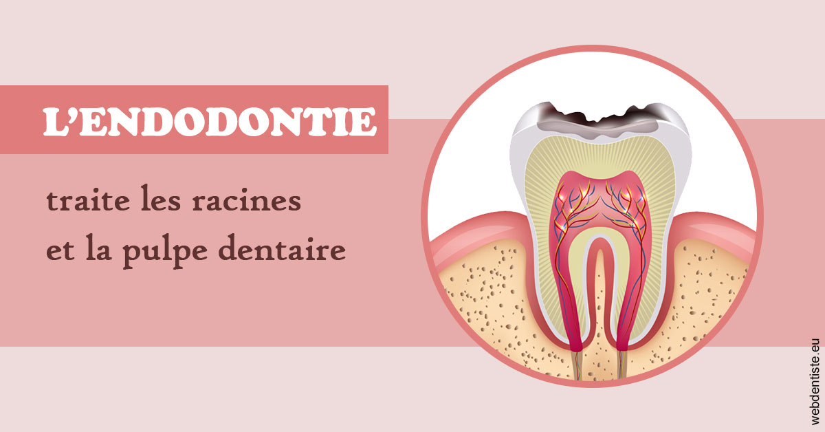 https://www.dr-feraud-pedodontiste.fr/L'endodontie 2