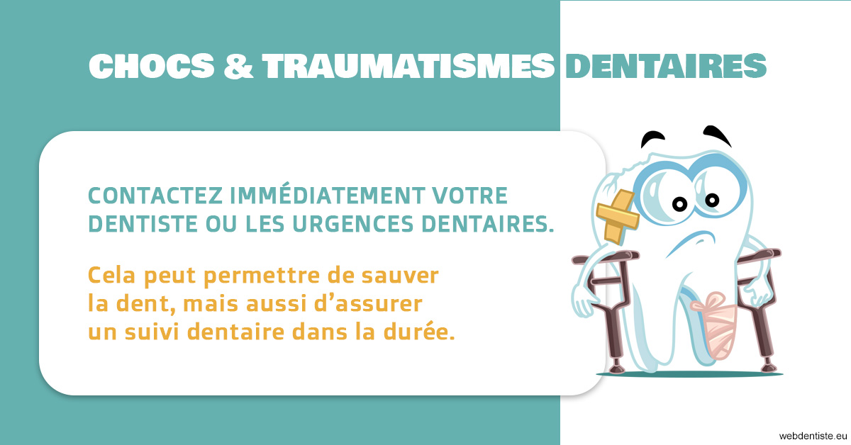 https://www.dr-feraud-pedodontiste.fr/2023 T4 - Chocs et traumatismes dentaires 02