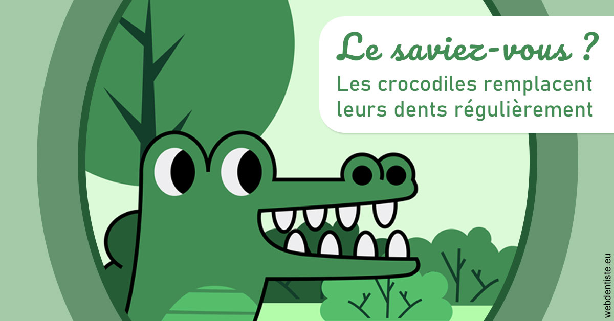 https://www.dr-feraud-pedodontiste.fr/Crocodiles 2