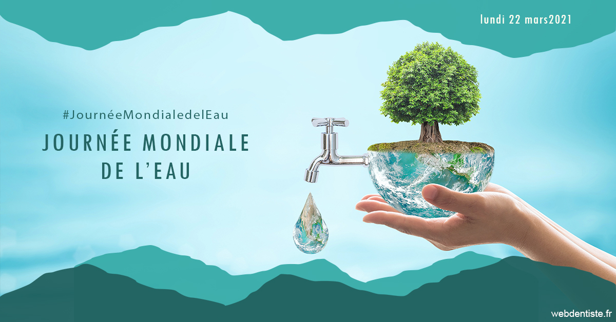 https://www.dr-feraud-pedodontiste.fr/Journée de l'eau 1