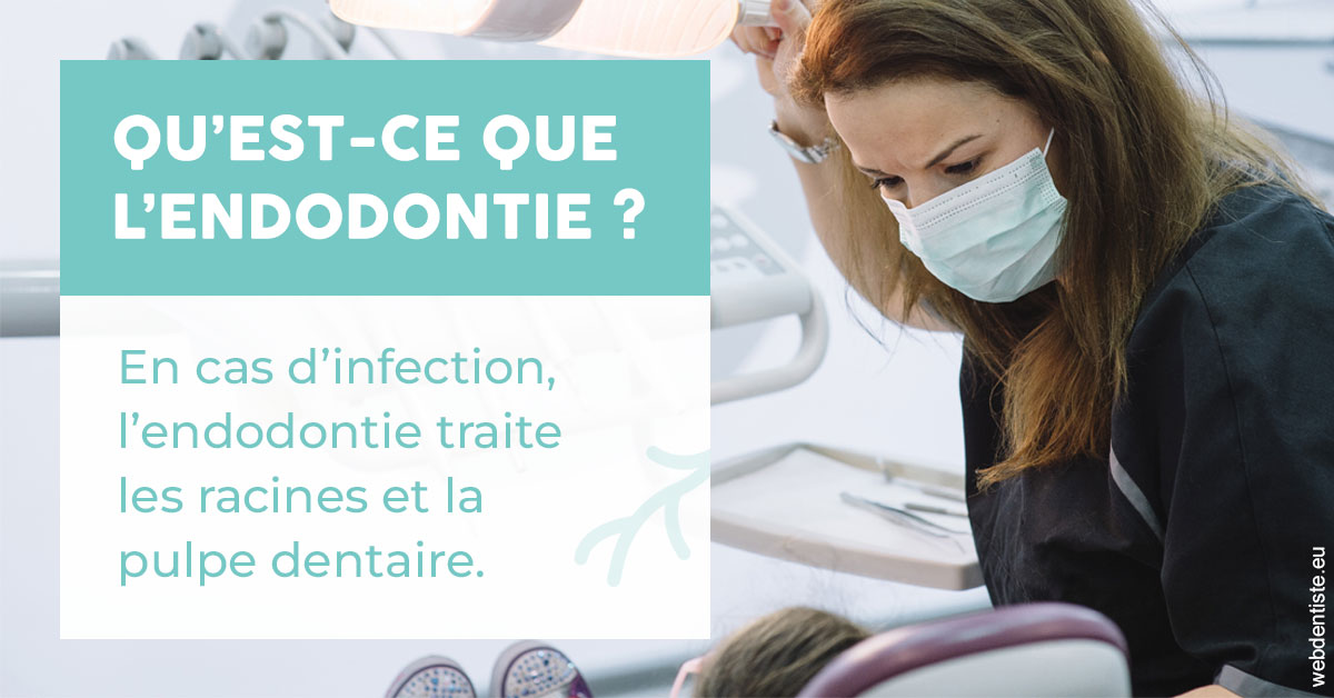 https://www.dr-feraud-pedodontiste.fr/2024 T1 - Endodontie 01